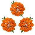 thumbnail image 1 of 3 Dozen Orange Roses with Baby's breath and Green- Fresh Flower Delivery, 1 of 4