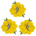 thumbnail image 1 of 3 Dozen Yellow Roses with Baby's breath and Green- Fresh Flower Delivery, 1 of 4
