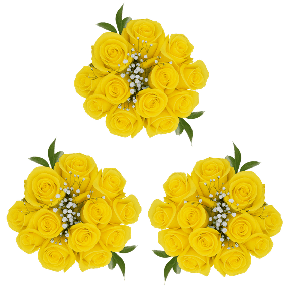 3 Dozen Yellow Roses with Baby's breath and Green- Fresh Flower Delivery