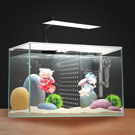 3 Gallon 12.6" L Fish Nano Glass Aquarium, with Separator Plate for Betta, Multi-Functional Square Fish Tank with Filter, LED Light, White 4mm Glass
