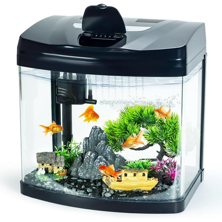 Gallon Fish Tank Betta Fish Tank, Gallon Glass Aquarium, Small