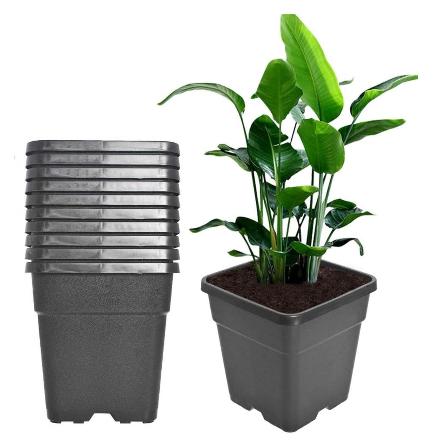 3 Gallon Square Nursery Pots Plant Pots Grow Pots Nursery Container Fit ...
