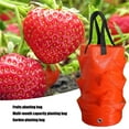 3 Gallon Strawberry Bag PE Strawberry Bag Color Bag Gardening Seedling