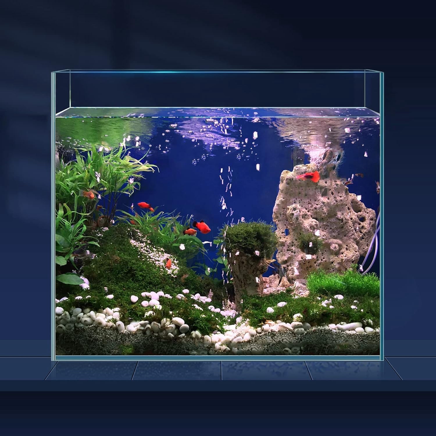 3 Gallon Ultra Clear Glass Aquarium, Rimless Low Iron Fish Tank for Betta/Nano/Goldfish/Snail/Shrimp with Fish Net & Cleaning Tools