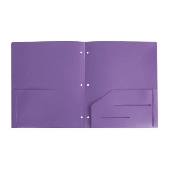3 Hole Pocket Folders (1 Pack), Plastic Pocket Folders for 3 Ring Binder, 3-Hole Punched Folder with Pockets, 3 Hole Punched with 2 Pockets, Hold Letter Size Paper(Purple)