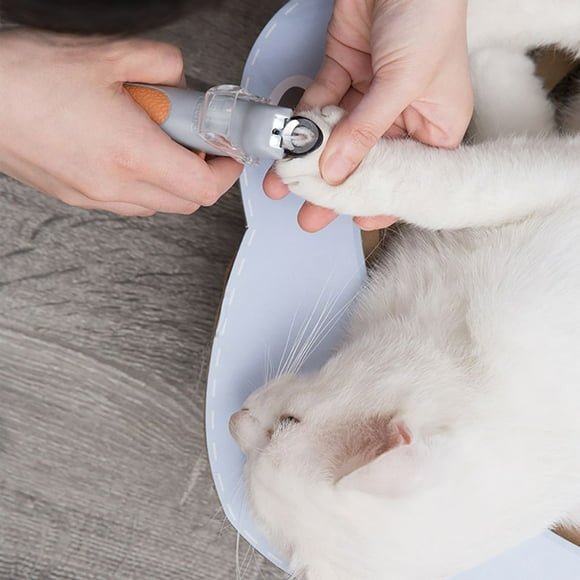 3-In-1, 1 Multifunction Main Brush + 1 Pet Roller Brush + 1 Carpet Brush + 1 1866 1785 2052 1713 2225 Vacuum Cleaner Accessories (4 Main Brushes + 2 Filters)