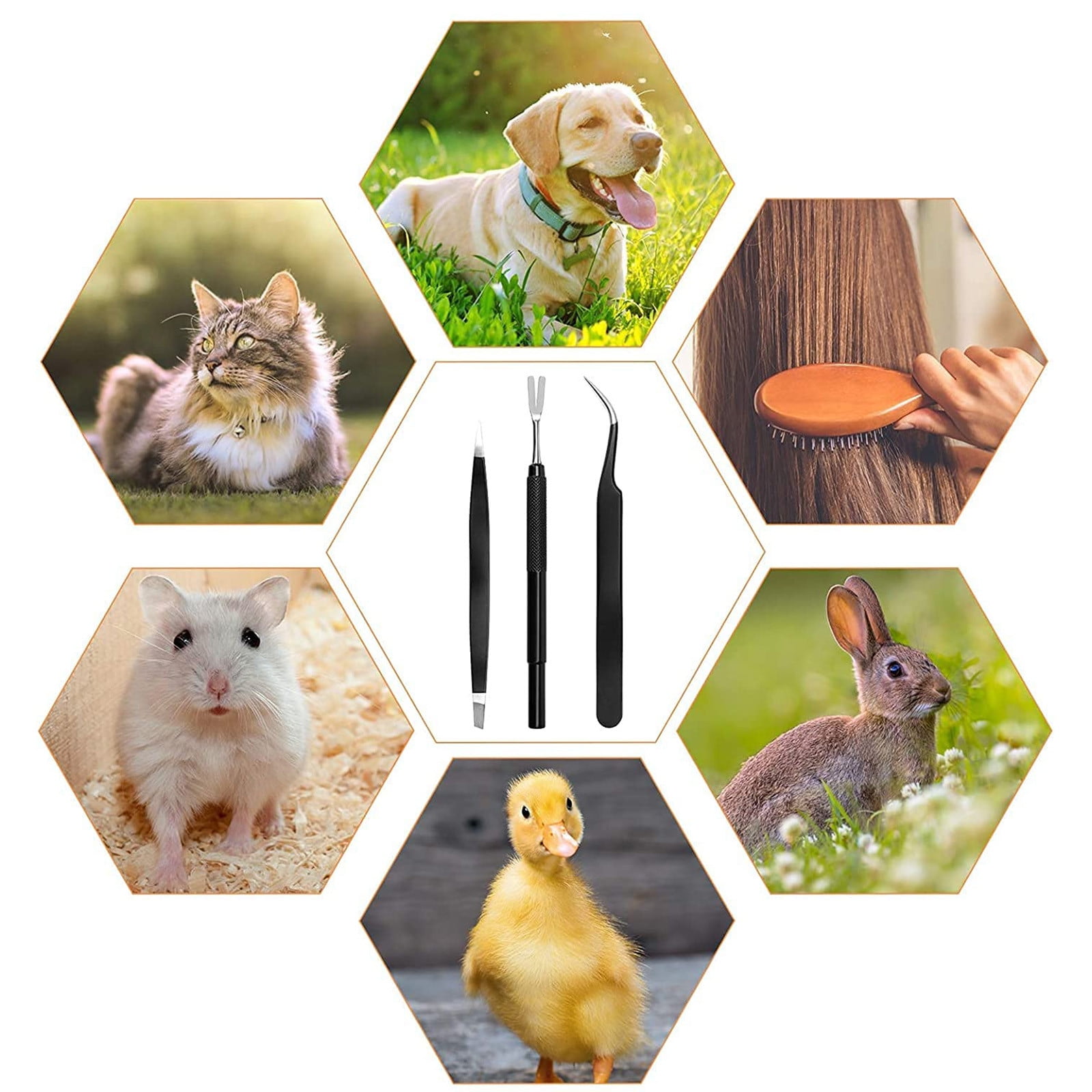 3 In 1 Tick Remover Kit CoiTek Black Tick Remover Tweezers Stainless