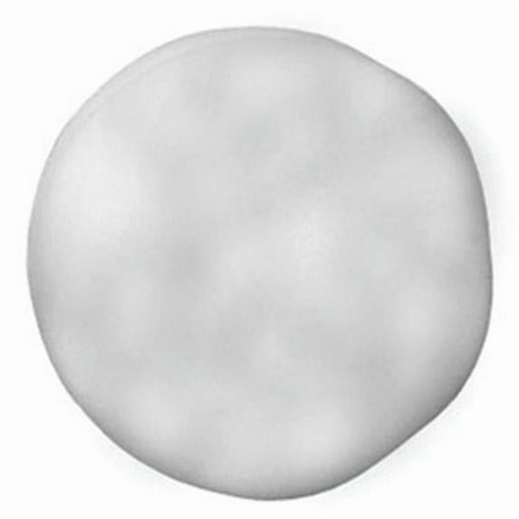 3 In. Foam Polishing Buff Pad