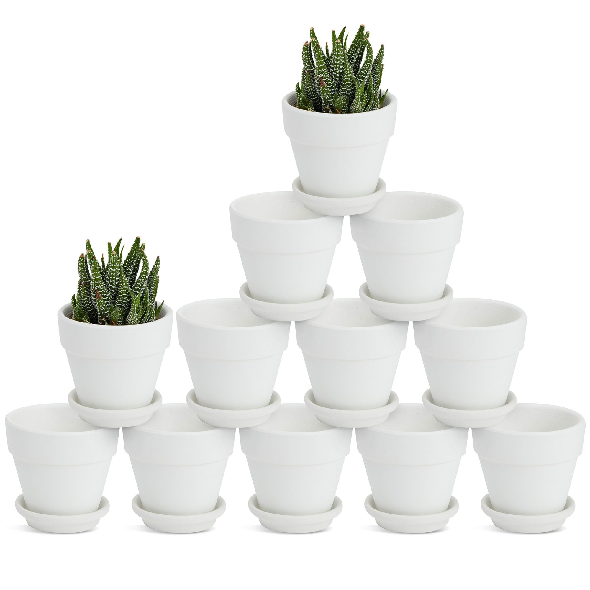 Thriving Thicket 3 inch Ceramic pots for Plants, Small Succulent Pots Set  with Drainage, 6 Pack Flower Pot for Indoor Plant, Planters for Little or