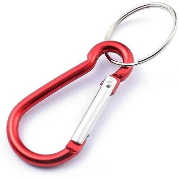 3 Inch Carabiner Clips with Keyrings Aluminum D-Ring Spring Lock Hooks: 1CT