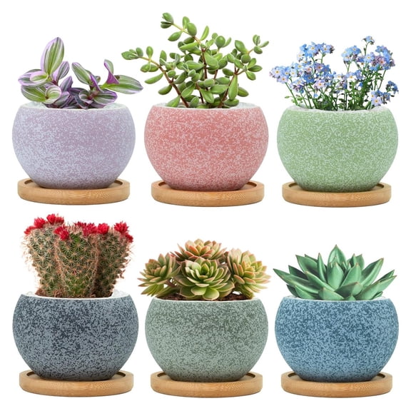 3 Inch Ceramic Plant Pots Set of 6 Small Flower Pot Containers with Drainage Holes and Bamboo Saucers for Indoor Cactus Mini Plants Home Garden Office Desk