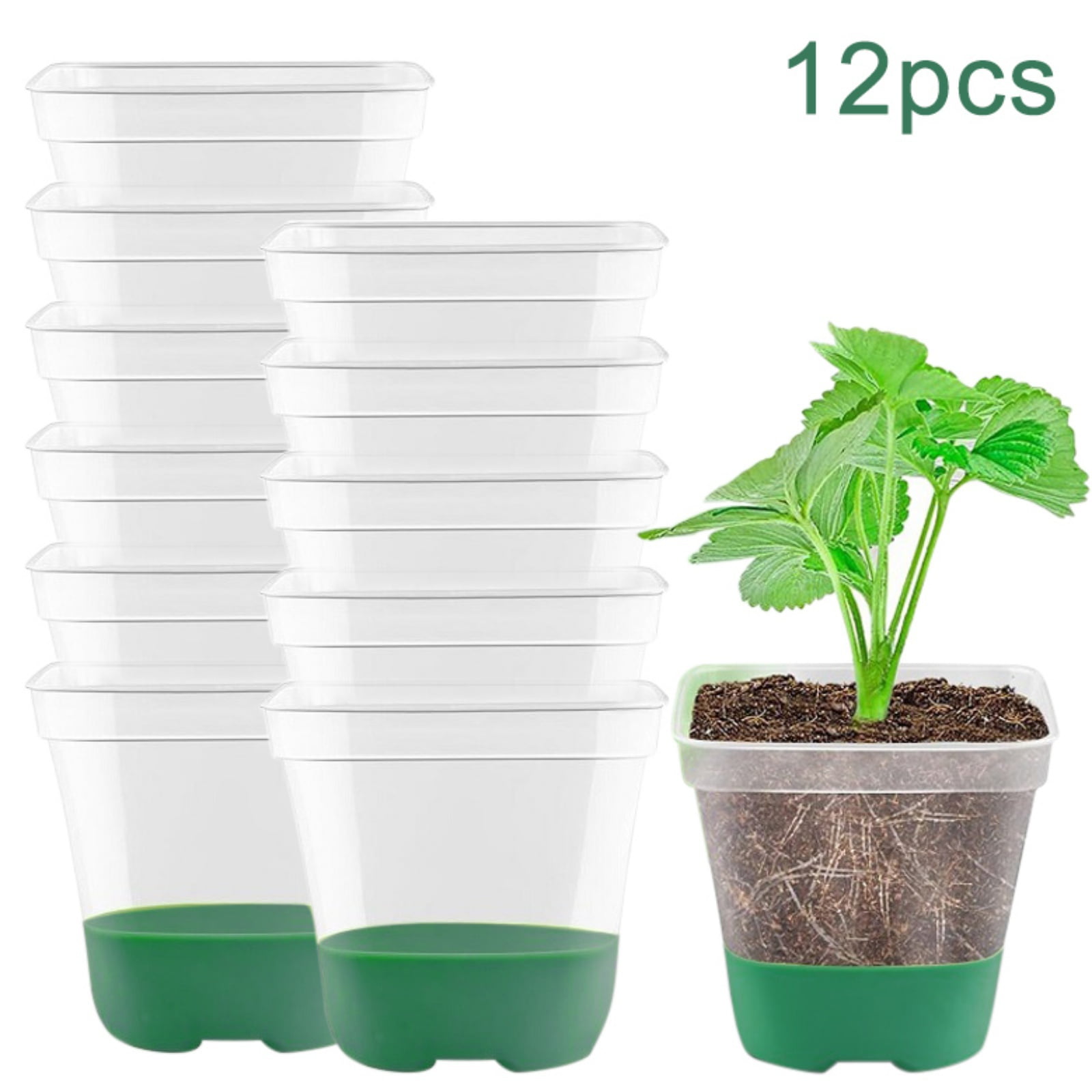 3 Inch Clear Nursery Pots with Reinforced Silicone Base for Easy ...