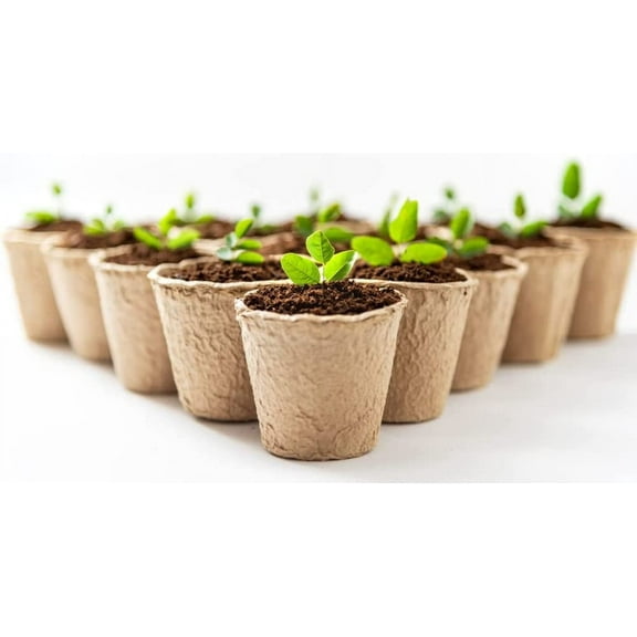 3 Inch Starter Pots 50 Pack of Biodegradable Containers