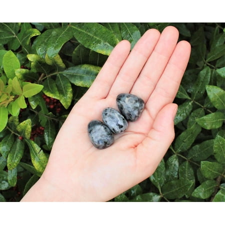 3 Larvikite Tumbled Stones (Crystal Healing, Gemstone, Feldspar) Norway