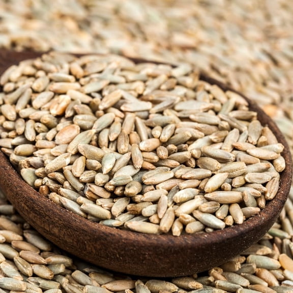 3 Lb Rye Cover Crop Seeds, Rye Grass Seeds, Fast-Growing Seed for Outdoor Garden Spring Planting