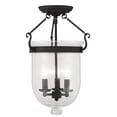 3 Light Black Ceiling Light fixture with Seeded Glass Shade