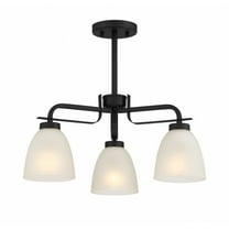 3 Light Convertible Chandelier     -Traditional Installation Minka Lavery 4883-66A