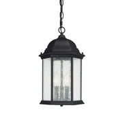 3 Light Outdoor Hanging Lantern In Transitional Style 10 High By 15 Wide-Black Finish Capital Lighting 9836Bk