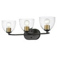 thumbnail image 1 of 3 Light Roxie Bath Vanity, Matte Black with Brushed Champagne Bronze Accents & Clear Glass Shade, 1 of 1