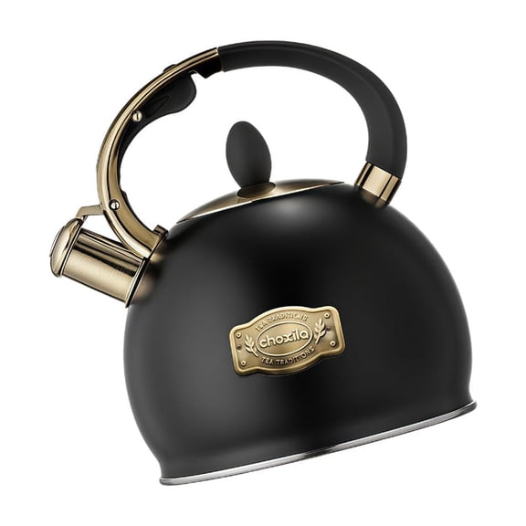 3 Liter Stainless Steel Kettle With Ergonomic Handle Easy To Clean Whistling Teakettle