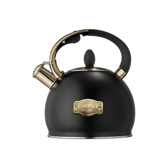 3 Liter Stainless Steel Kettle With Ergonomic Heat Resistant Handle Easy To Clean Whistling Teakettle