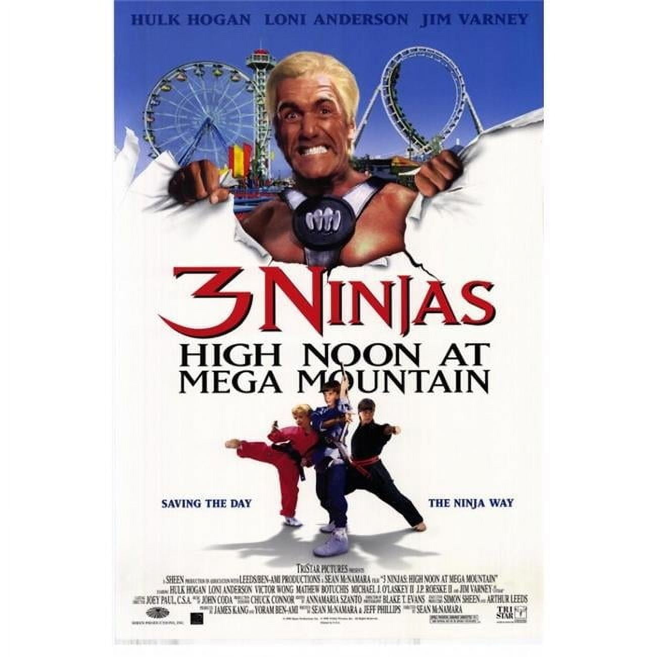 3 Ninjas-High Noon at Mega Mountain Movie Poster - Walmart.com