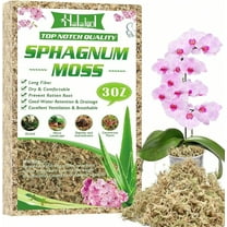 3 Oz Premium Sphagnum Moss Indoor Plants, 4 Qt Orchid Moss Potting Mix - Natural Sphagnum Moss Succulents, Carnivorous(Sarracenia), Monstera, Terrarium Substrate & Reptile Habitats
