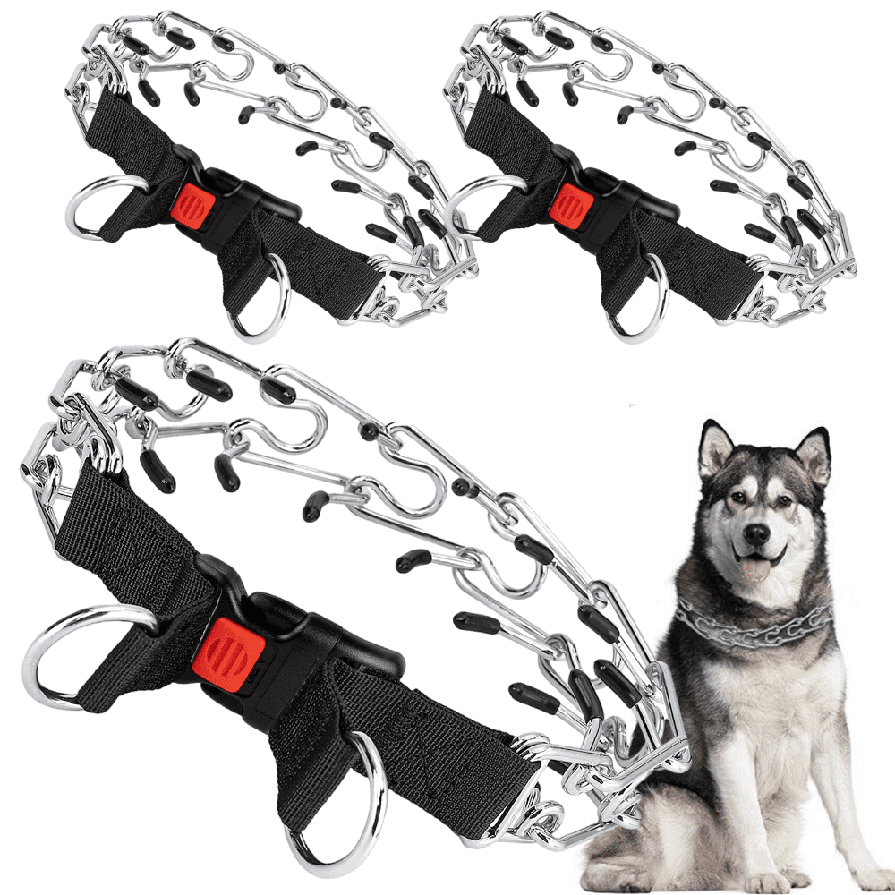 Choker training collar online