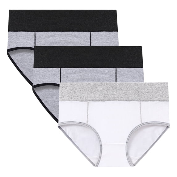 3 PCS High Waist Panties for Women Tummy Control Plus Size Cotton Underwear Full Coverage Comfy Ladies Briefs 2XL