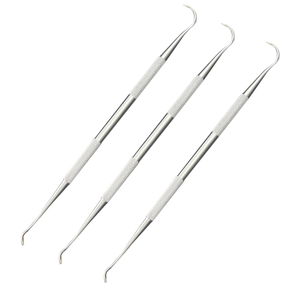 3 PCS Stainless Steel Dual End Dental Tooth Picks Dental Hygiene Set Dentists Tools Set (Silver)