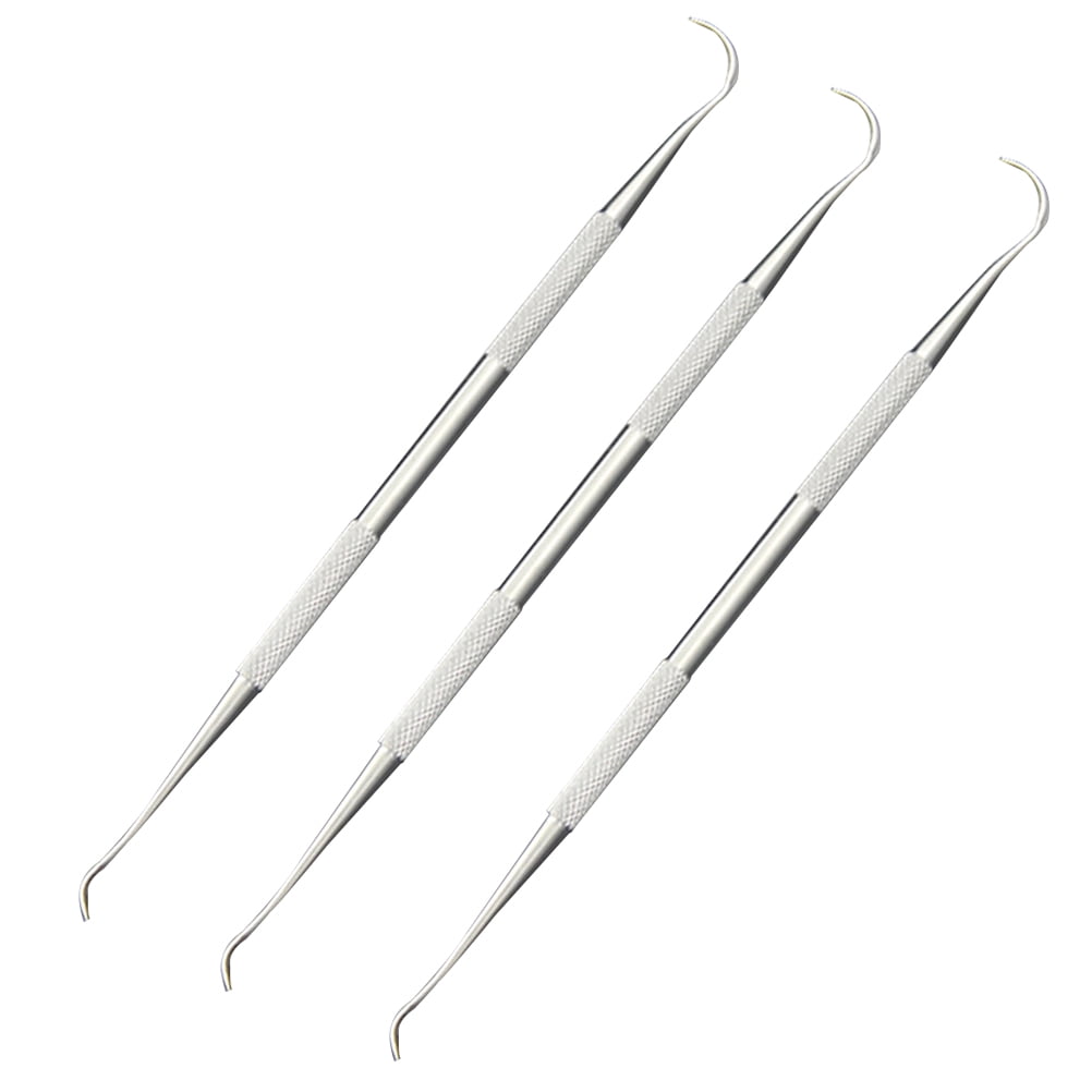 3 PCS Stainless Steel Dual End Dental Tooth Picks Dental Hygiene Set Dentists Tools Set (Silver)