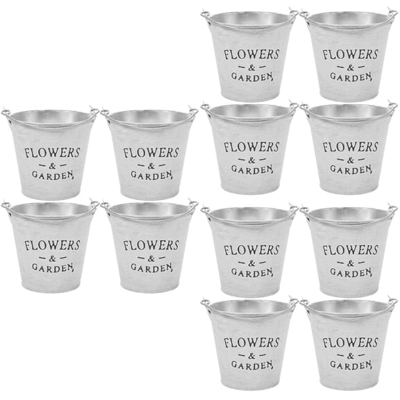 3 PCS Tin Flower Bucket Pot with Handles Decorative Ornament