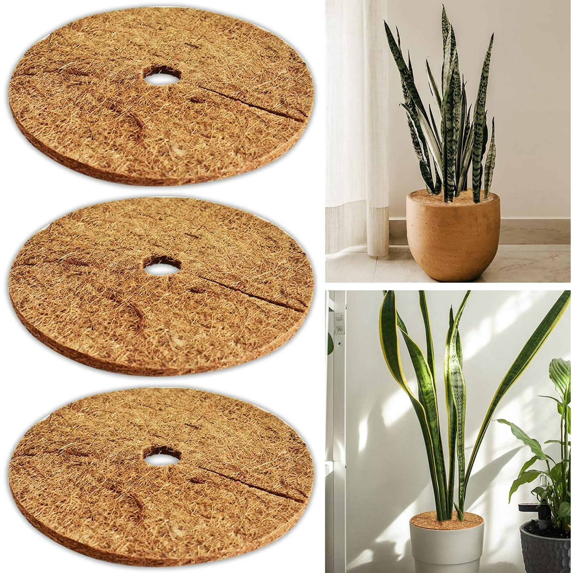 3 PCs / 6 PCs Coconut Fibers Mulch Ring Tree Protector Mat, 7.9 Inch ...