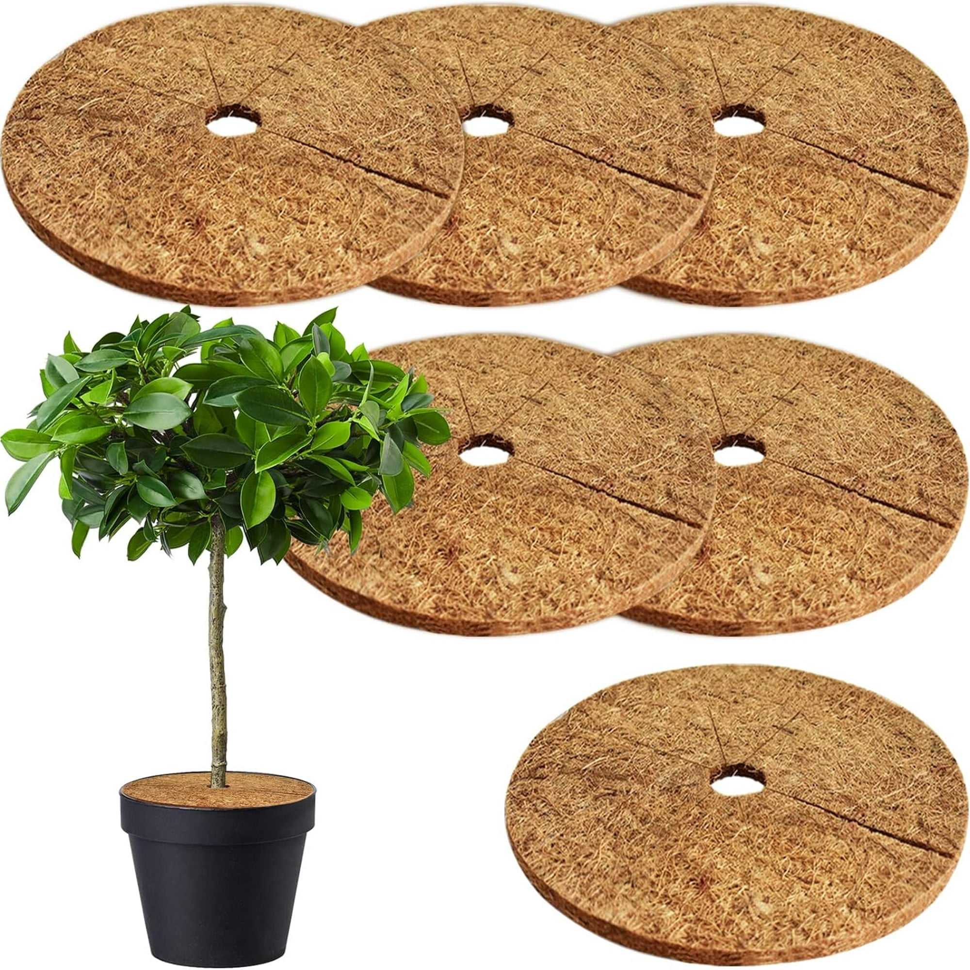 3 PCs / 6 PCs Coconut Fibers Mulch Ring Tree Protector Mat, 7.9 Inch ...