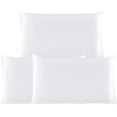 thumbnail image 1 of 3 Pack 19 Momme Smooth Mulberry Silk Pillow Case Cover, Travel, Pearl White, 1 of 8