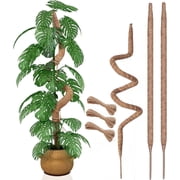 Sphagnum Moss Poles for Plant Support