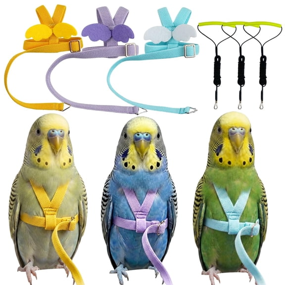 3 Pack Adjustable Bird Harness with Elastic Leash, Pet Parrot Harness and Leash, Adjustable Training Design Anti-Bite, Bird Nylon Rope with Cute Wing for Conure African Grey