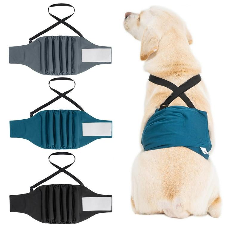 Boy dog diapers sale