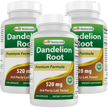 3 Pack Best Naturals Dandelion Root 520 mg 250 Capsules