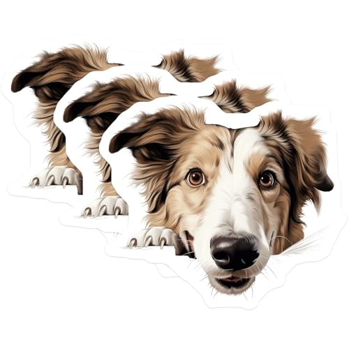 (3 Pack) Border Collie Decals - Dog Breed Stickers - Laptop Car Decals - 3 Inches On Longest Side - Easy Peel & Apply - Made in USA - 3MCS8646
