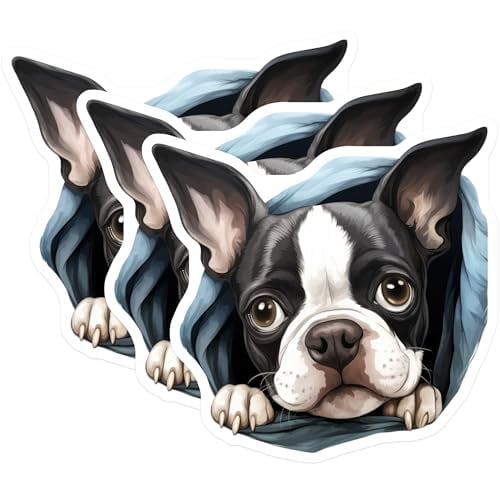 (3 Pack) Boston Terrier Decals - Dog Breed Stickers - Laptop Decals - 3 Inches On Longest Side - Easy Peel & Apply - Made in USA - 3MCS8647
