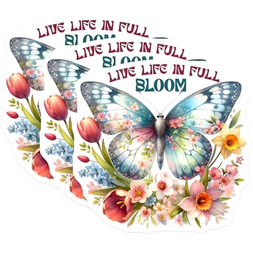 (3 Pack) Butterfly Decals - Floral Design Decals - Live Life in Full ...