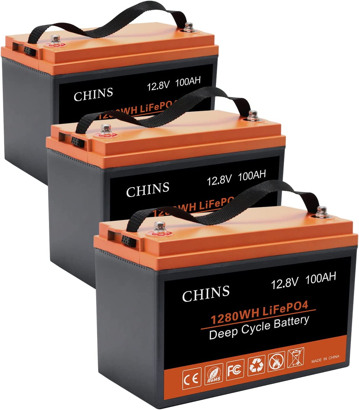 12V 100Ah LiFePO4 Battery with 100A BMS