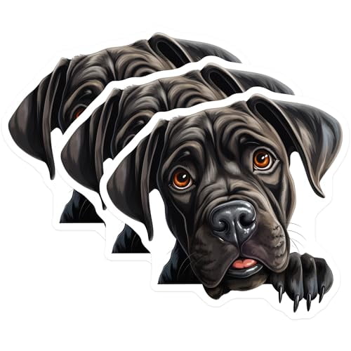 (3 Pack) Cane Corso Decals - Dog Breed Sticker - Italian Mastiff Laptop Decal - 3 Inches On Longest Side - Easy Peel & Apply - Made in USA - 3MCS8663