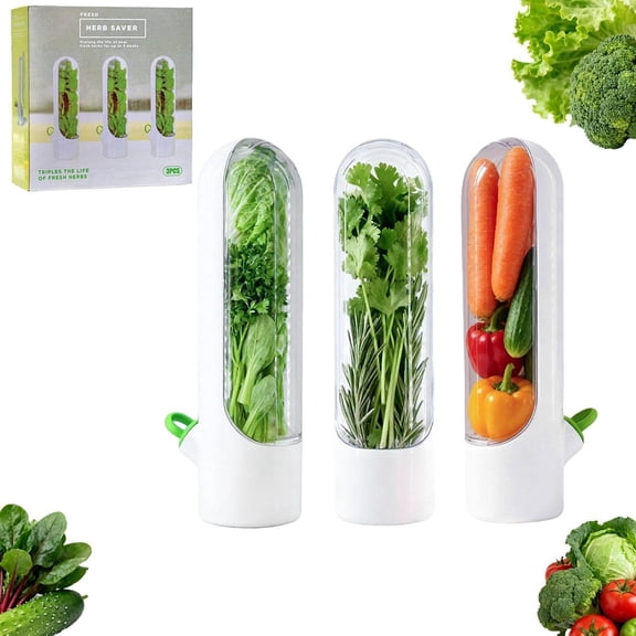 3 Pack Cilantro Container for Fridge Herb Saver Fresh Herb Keeper with Removable Silicone Drain Plug Vegetable Preservation Storage Container for Mint Basil Extend Freshness Up to 2-3 Weeks
