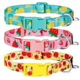 thumbnail image 1 of 3 Pack Dog Collars Fruit Pattern Design Soft Comfortable Dog Collars for Small Medium and Large Dogs, 1 of 7