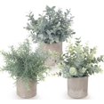 thumbnail image 1 of 3 Pack Fake Succulent Plant Set-Artificial Succulent Plant Mini Potted Fake Plants for Desk House Office Balcony Desk Bathroom Decoration A, 1 of 5