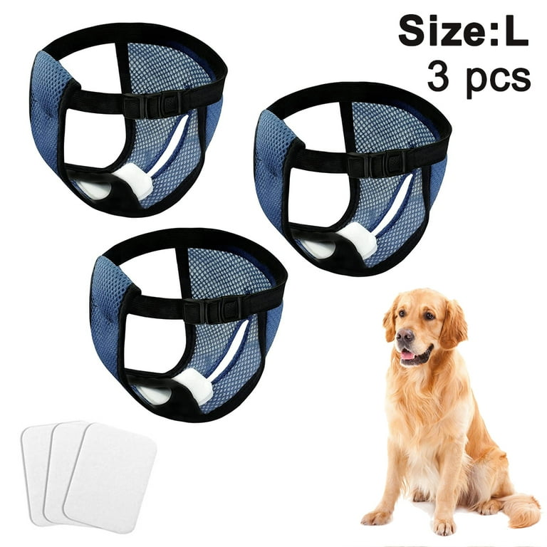 Large dog cheap pants