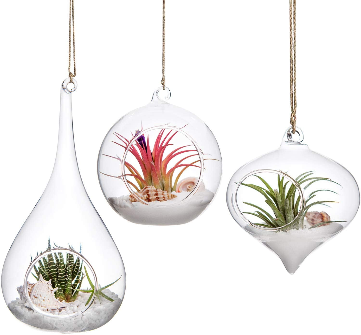 Suyin Hanging Glass Terrarium Plants, Glass Hanging Terrarium Planter  Terrariums, Glass Terrariums for Plants Succulent 