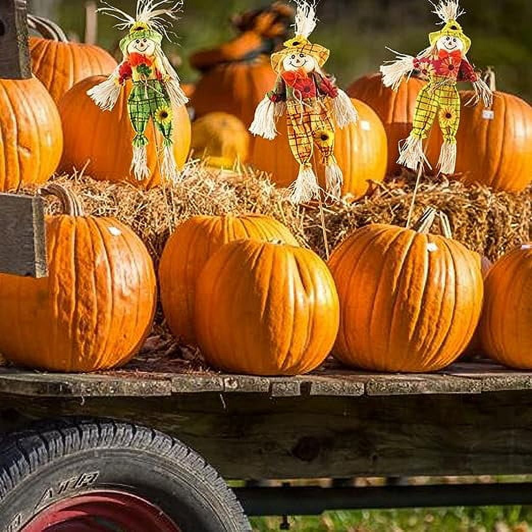 3 Pack Halloween Scarecrows Decor, Fall Harvest Standing Scarecrow for